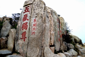 山東海德光伏團(tuán)建拓展?fàn)I泰山行