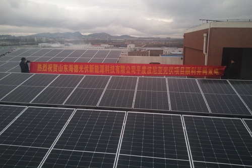 平度波尼亞食品有限公司屋頂分布式光伏發(fā)電項目